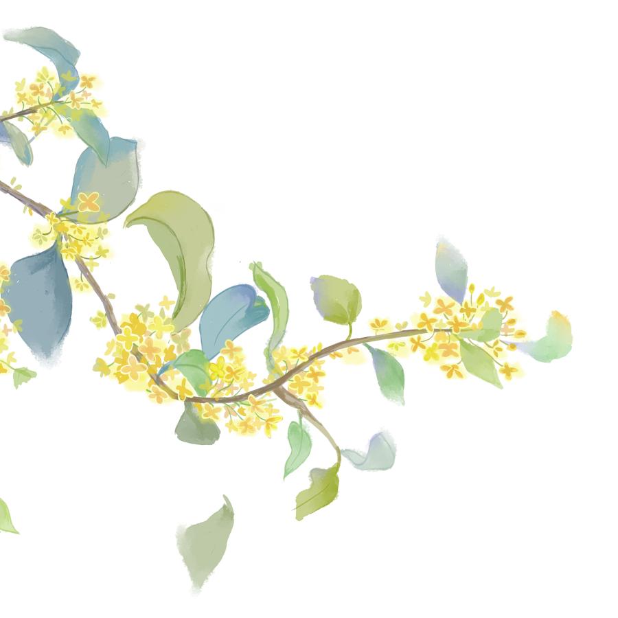 重庆协信星光天地_重庆协信星光天地在哪里_重庆协信星光广场