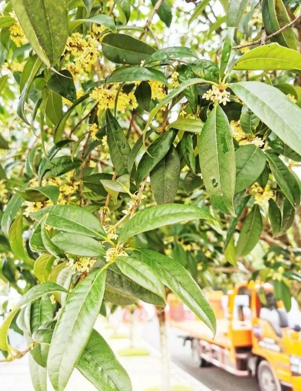 重庆协信星光广场_重庆协信星光天地_重庆协信星光天地在哪里