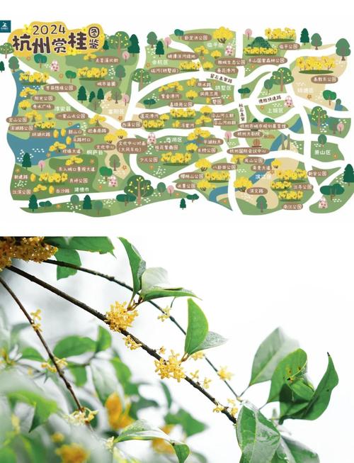 重庆协信星光天地_重庆协信星光广场_重庆协信星光天地在哪里