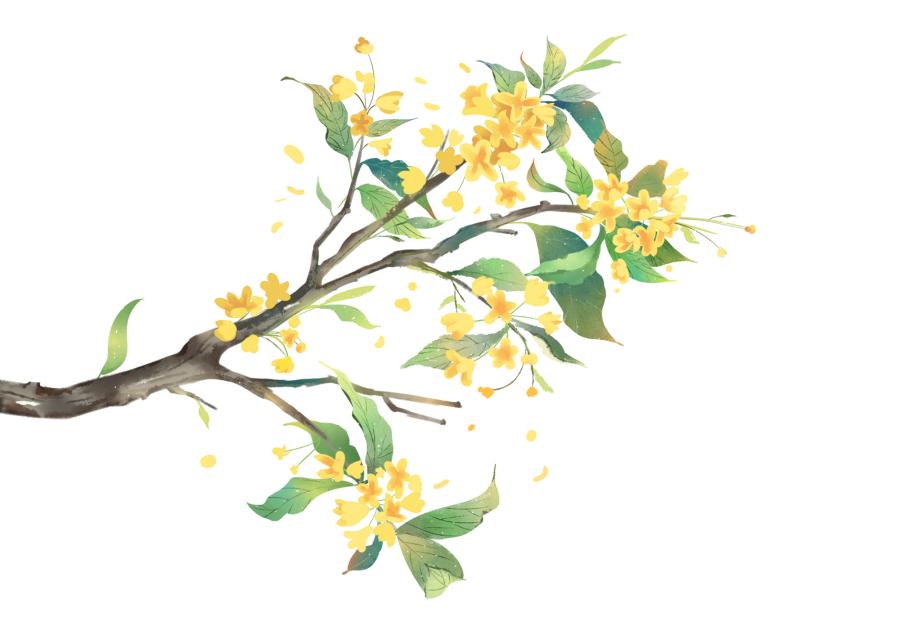 重庆协信星光天地_重庆协信星光天地在哪里_重庆协信星光广场