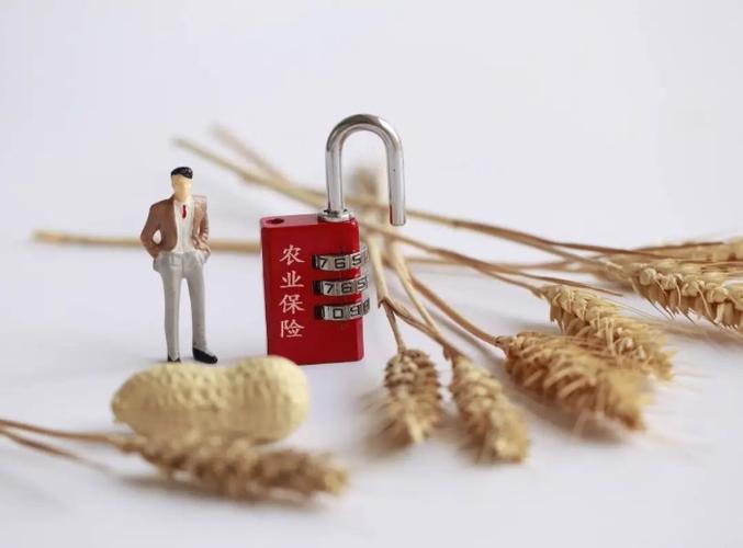 广东金融创新奖_期货对冲大师_金融创新在广东