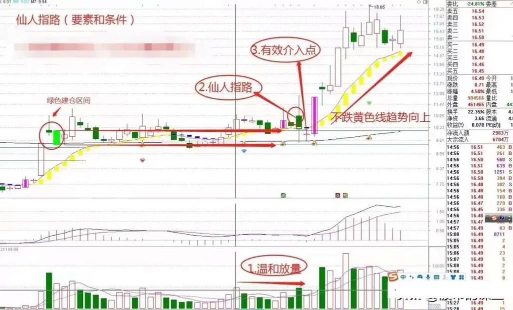 股市剑客炒股100招_普通人炒股故事_100股战法真实案例