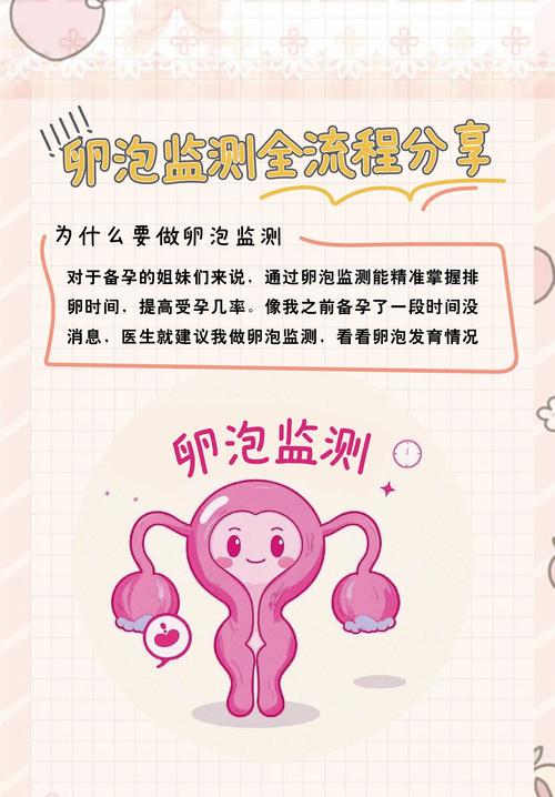 多囊卵巢都检查什么_高龄女性卵泡监测策略_多囊卵巢综合征卵泡监测