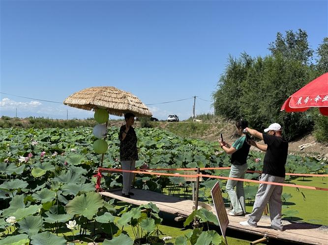 品牌农家乐乡村旅游网_生态采摘园旅游线路_滨湖镇特色农家乐一日游