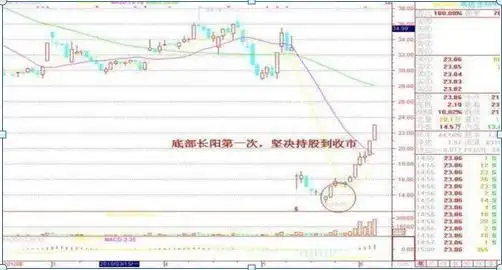 交易法则_专业投机原理 azw3_风险控制