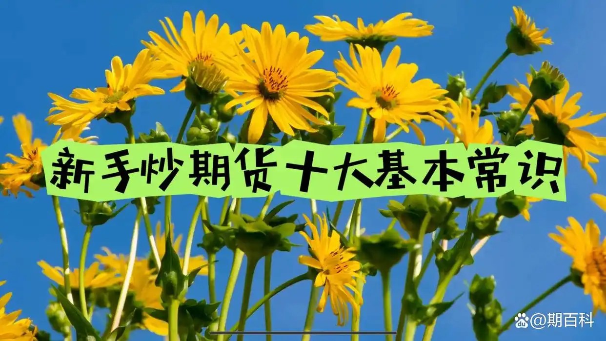 期货入门知识：双向交易、保证金等要点全解析