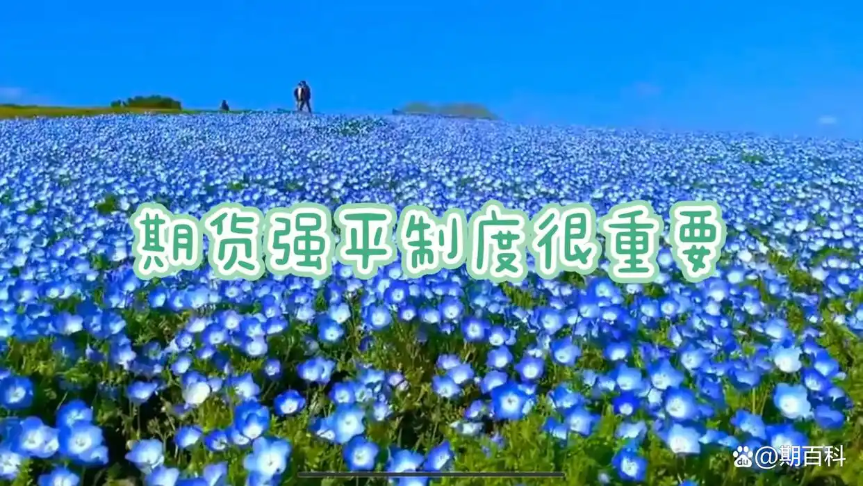 保证金交易制度_期货入门知识_期货双向交易