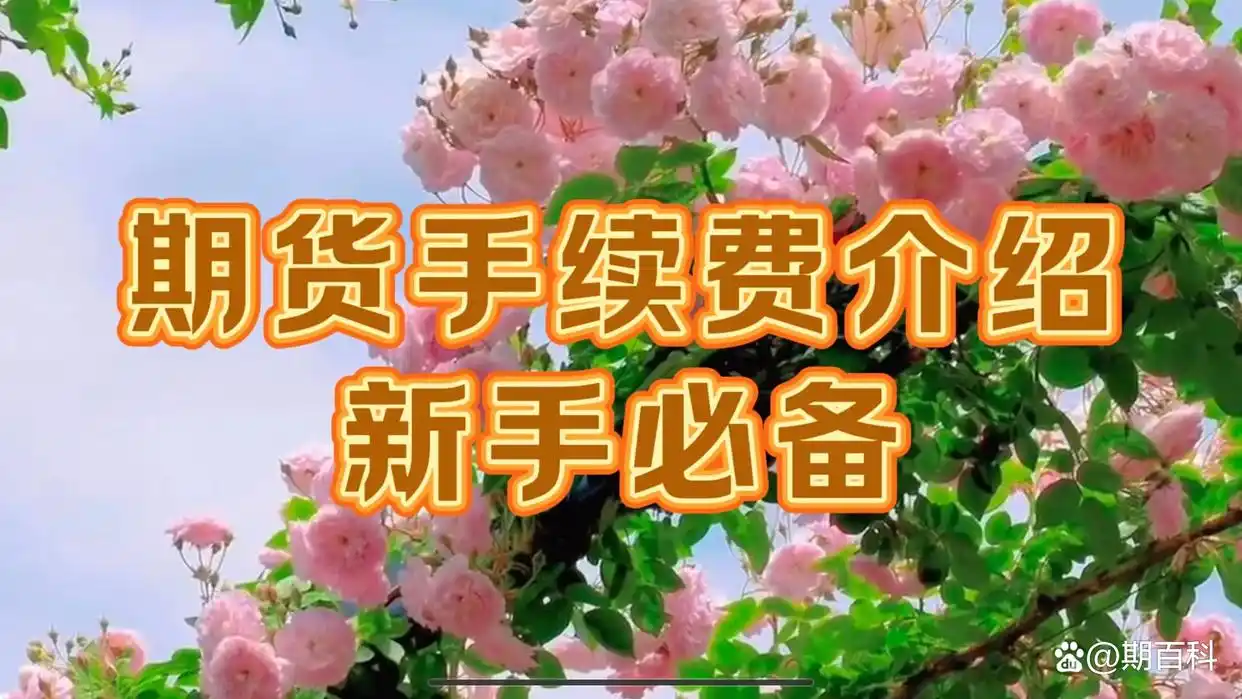 期货入门知识_保证金交易制度_期货双向交易