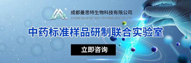 梦幻五开赚钱_提升收益缓解压力_梦幻西游上班族五开玩法