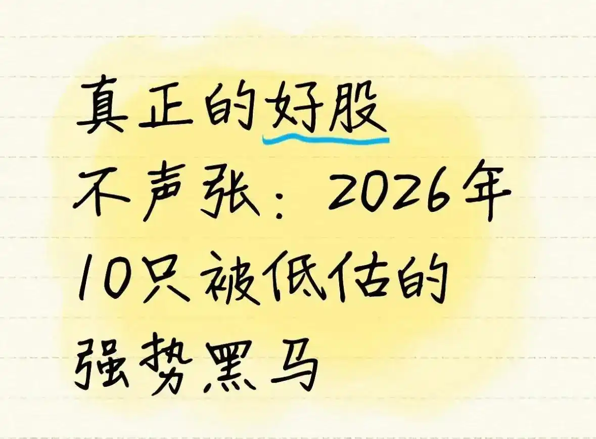 2026最有潜力的股票_低估值稳健成长股_新质生产力高壁垒企业