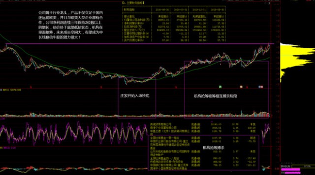 蓝筹股投资策略_有稳定较高股利的股票叫什么_优质公司投资